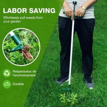 Load image into Gallery viewer, Standing Plant Root Remover (Special Promotion-50% OFF)