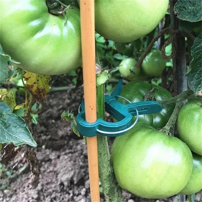 Reusable Garden Flower Lever Loop Gripper Clips£¨10PCS£©